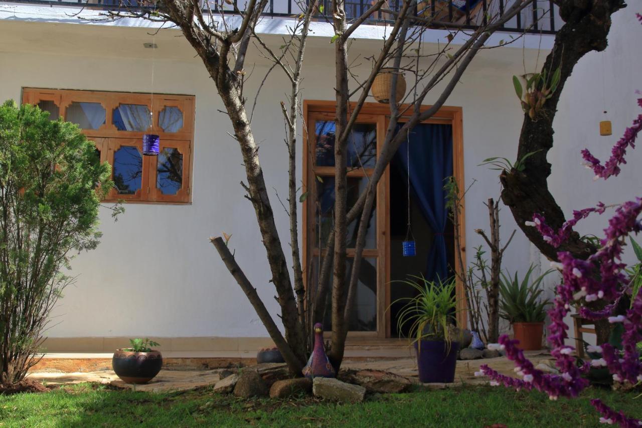 Gaia Guest House San Cristóbal de Las Casas 외부 사진